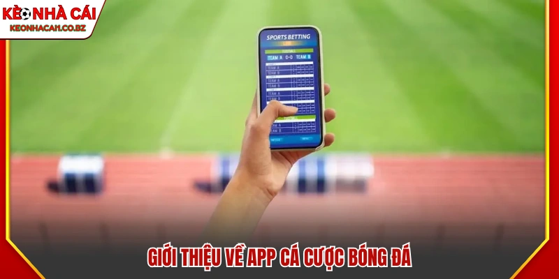 Tìm hiểu về các ứng dụng cá cược bóng đá