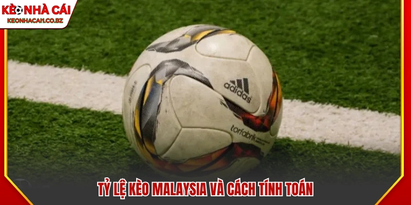 Tỷ lệ cược Malaysia và phương pháp tính toán