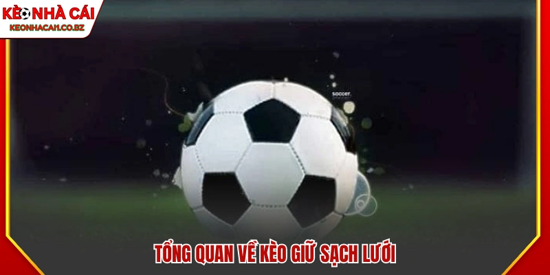 Giới thiệu đôi nét về kèo giữ sạch lưới