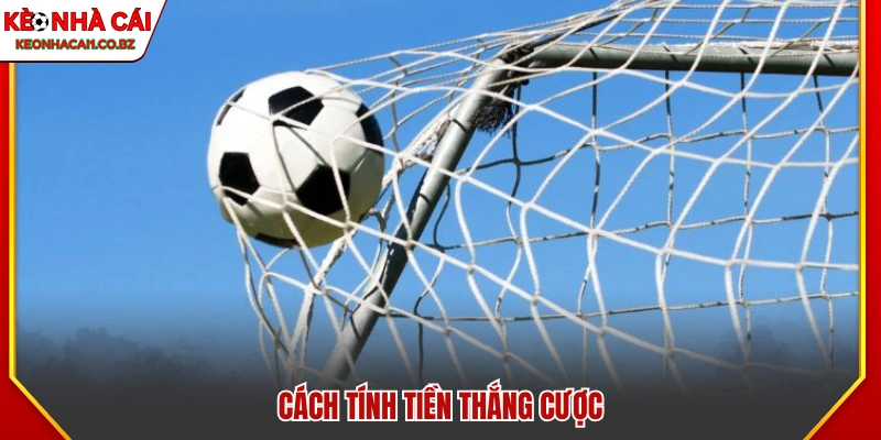 Hướng dẫn cách tính tiền thắng cá cược