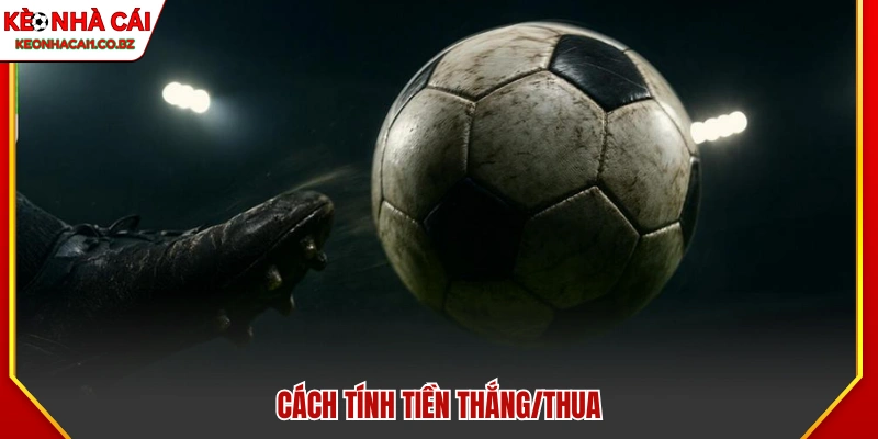 Tiền thắng/thua trong cá cược 