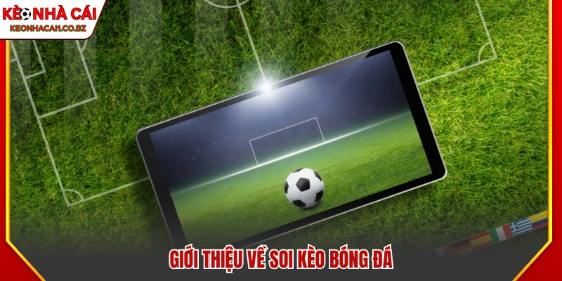 Tìm hiểu về cá cược bóng đá