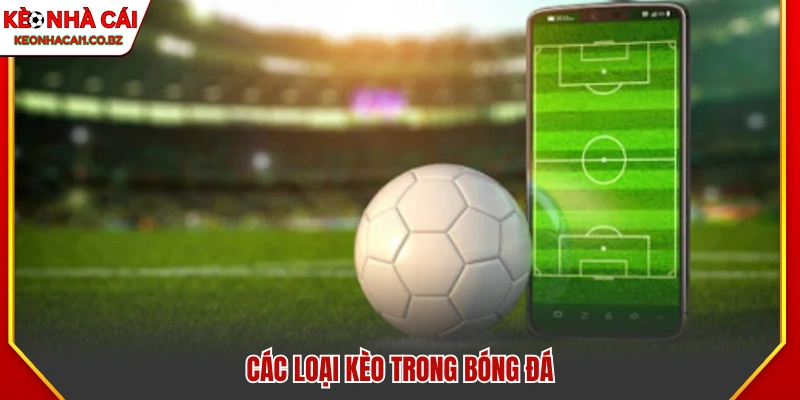 Các loại cược trong bóng đá