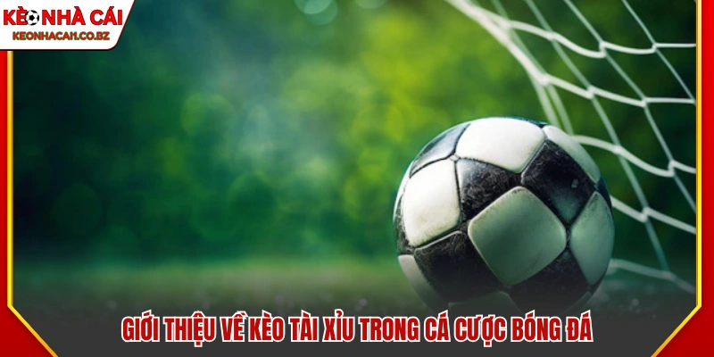 Bao quát về kèo Tài Xỉu trong cá cược bóng đá