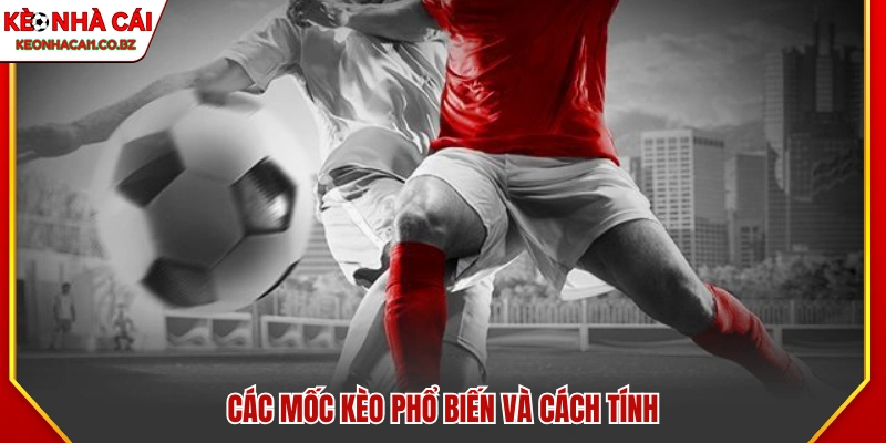 Các mốc kèo phổ biến trong cá cược bóng đá