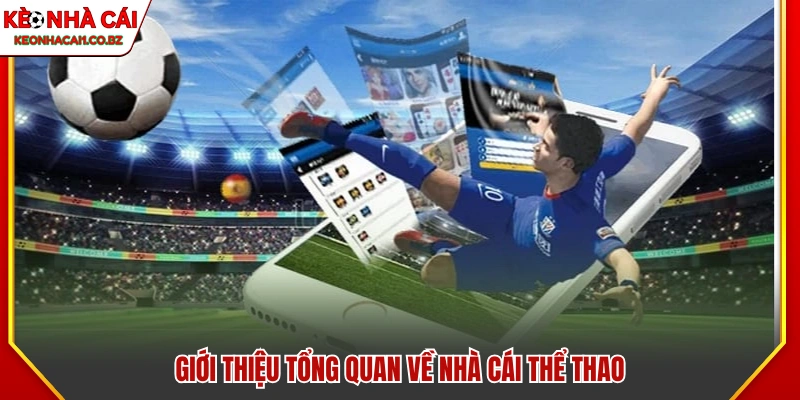 Tổng quan vài nét về các nhà cái thể thao