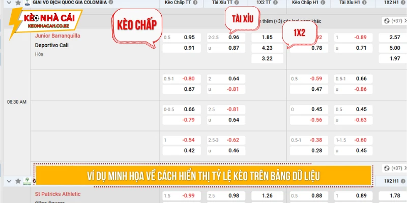 Ví dụ minh họa về cách hiển thị tỷ lệ kèo trên bảng dữ liệu